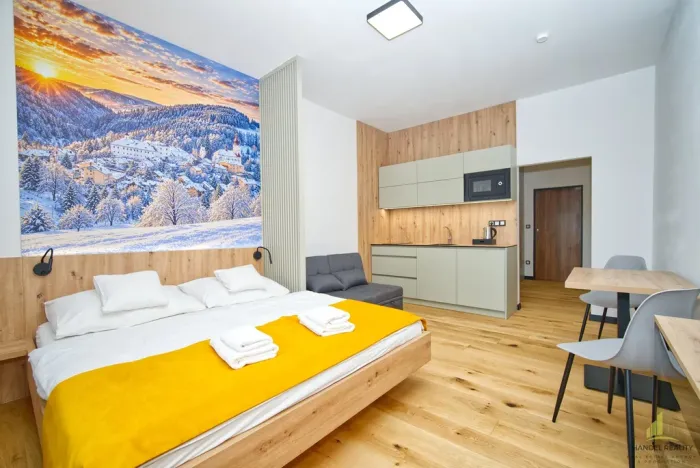Prodej bytu 1+kk, Branná, 22 m2