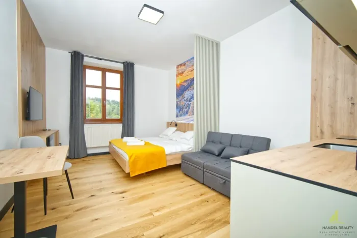 Prodej bytu 1+kk, Branná, 22 m2