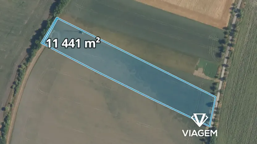 Prodej pole, Sudovo Hlavno, 11441 m2