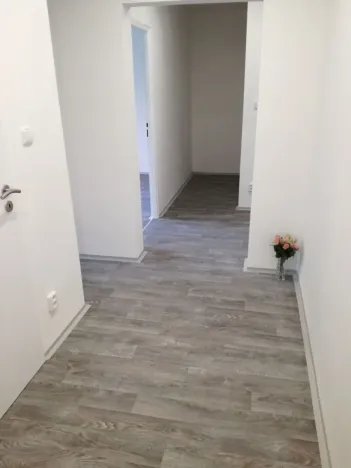Pronájem bytu 2+1, Ostrava - Hrabůvka, Plzeňská, 55 m2
