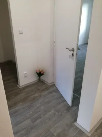 Pronájem bytu 2+1, Ostrava - Hrabůvka, Plzeňská, 55 m2