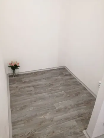Pronájem bytu 2+1, Ostrava - Hrabůvka, Plzeňská, 55 m2