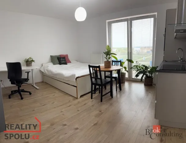 Pronájem bytu 1+kk, Plzeň - Újezd, Diamantová, 30 m2