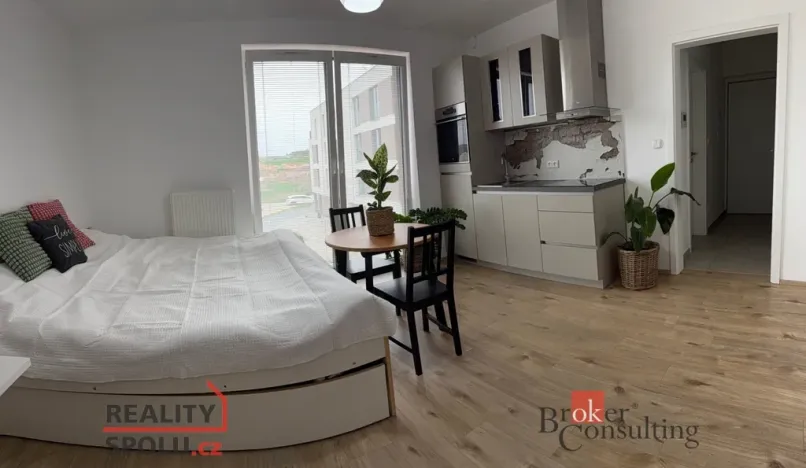 Pronájem bytu 1+kk, Plzeň - Újezd, Diamantová, 30 m2