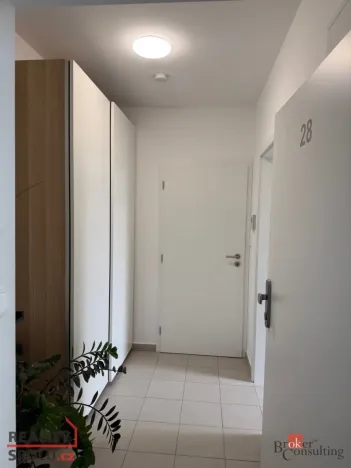 Pronájem bytu 1+kk, Plzeň - Újezd, Diamantová, 30 m2