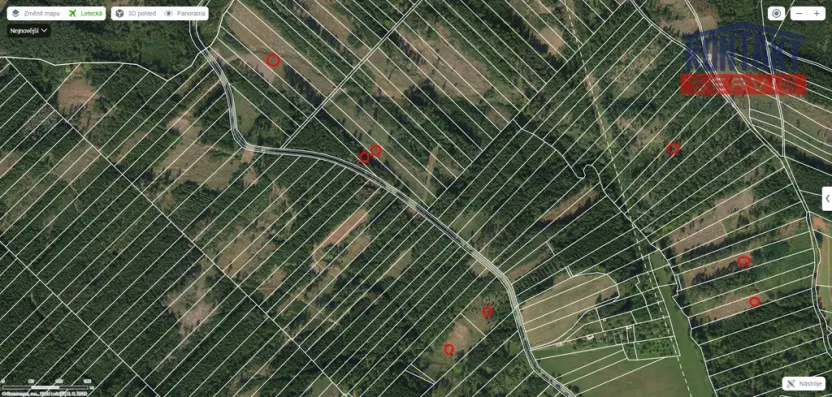 Prodej lesa, Jevíčko, 70821 m2