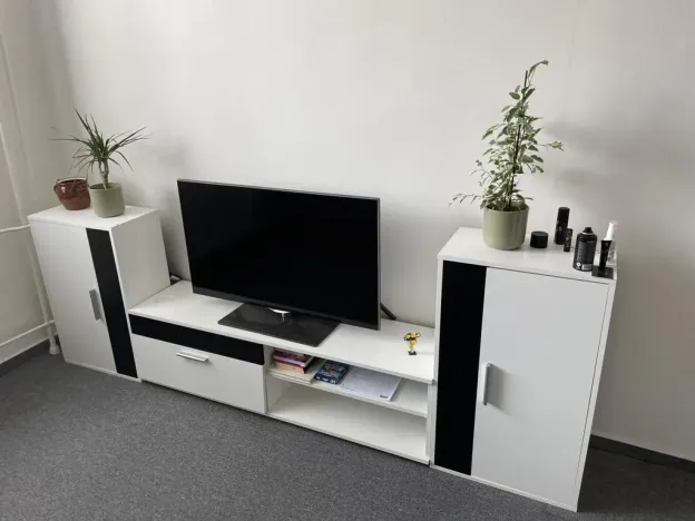 Pronájem bytu 1+1, Vyškov - Brňany, Palánek, 36 m2