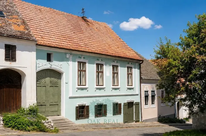 Prodej činžovního domu, Pavlov, Na Návsi, 368 m2