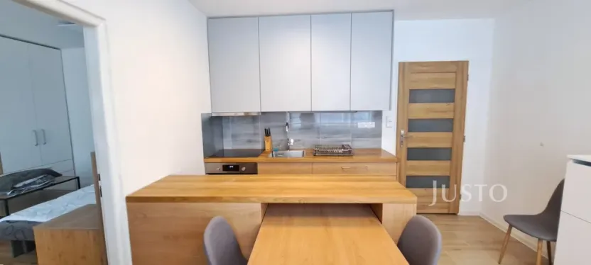 Pronájem bytu 1+1, Písek, 17. listopadu, 41 m2