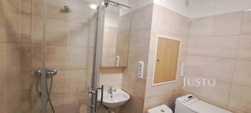 Pronájem bytu 1+1, Písek, 17. listopadu, 41 m2