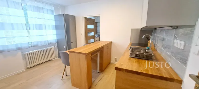 Pronájem bytu 1+1, Písek, 17. listopadu, 41 m2