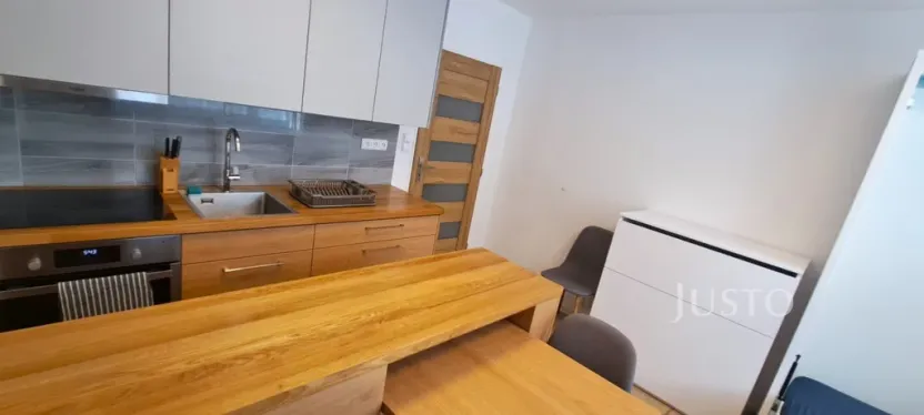 Pronájem bytu 1+1, Písek, 17. listopadu, 41 m2