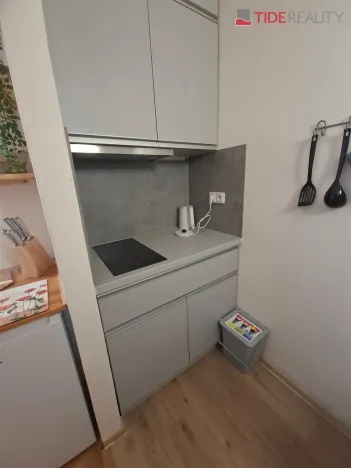 Pronájem bytu 1+kk, Praha - Břevnov, Nad Kajetánkou, 26 m2