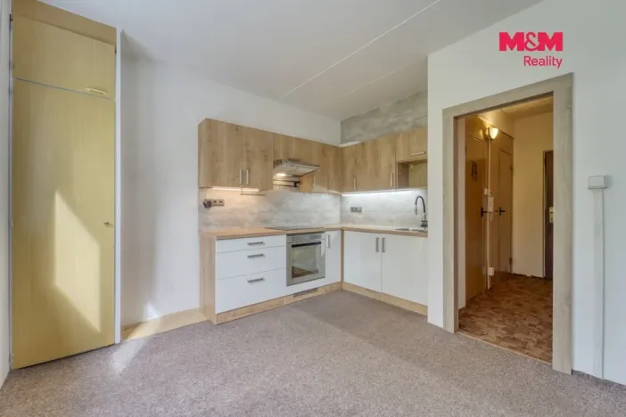 Pronájem bytu 1+1, Starý Plzenec, Dr. Beneše, 39 m2