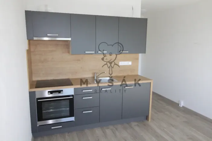 Pronájem bytu 1+kk, České Budějovice - České Budějovice 3, U Trojice, 21 m2
