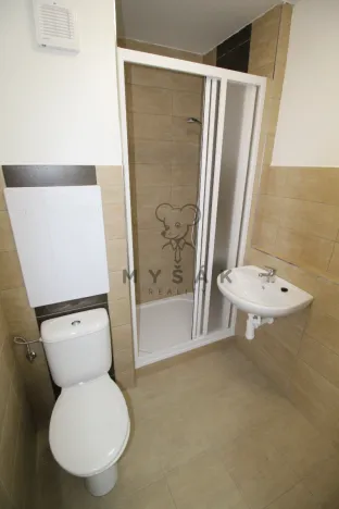 Pronájem bytu 1+kk, České Budějovice - České Budějovice 3, U Trojice, 21 m2