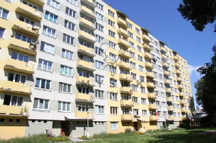 Pronájem bytu 1+kk, České Budějovice - České Budějovice 3, U Trojice, 21 m2