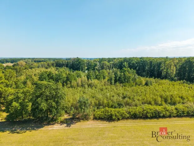 Prodej lesa, Pardubice - Pardubice-Staré Město, 37347 m2