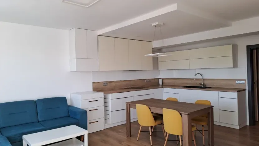Pronájem bytu 2+kk, České Budějovice - České Budějovice 2, Plukovníka Malého, 60 m2