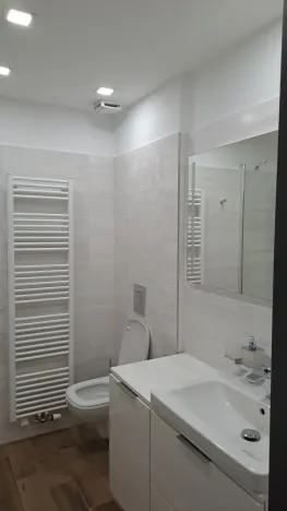 Pronájem bytu 2+kk, České Budějovice - České Budějovice 2, Plukovníka Malého, 60 m2