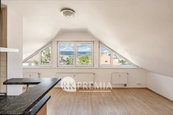 Pronájem bytu 3+1, Teplice, Kašparova, 116 m2