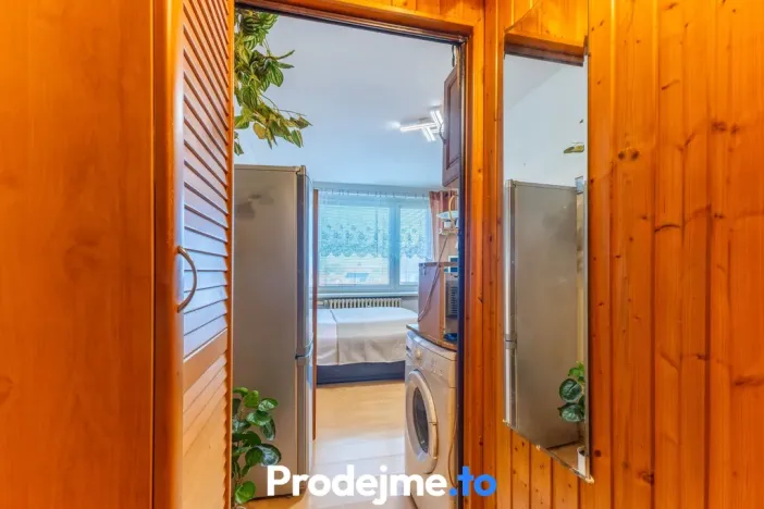 Prodej bytu 1+kk, Znojmo, Přímětická, 21 m2