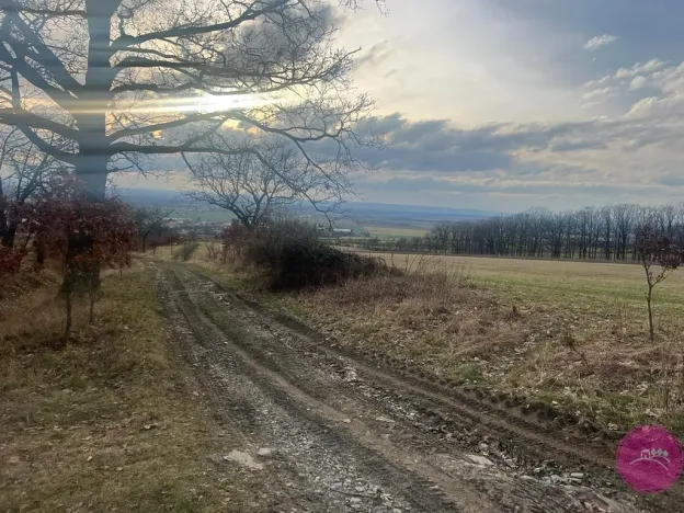 Prodej louky, Bělkovice-Lašťany, 27123 m2