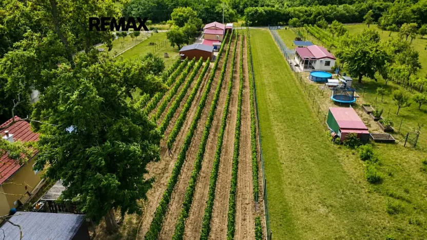 Prodej zahrady, Břeclav, 1560 m2