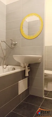 Pronájem bytu 1+kk, Ostrava - Moravská Ostrava, U Parku, 30 m2