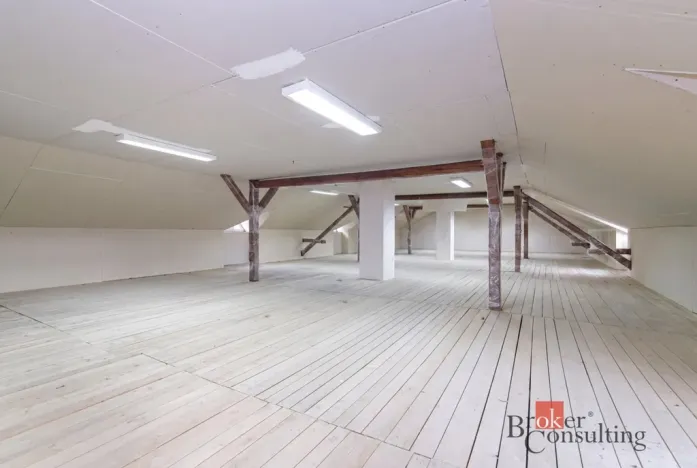 Prodej rodinného domu, Ostrava - Kunčičky, Rajnochova, 400 m2
