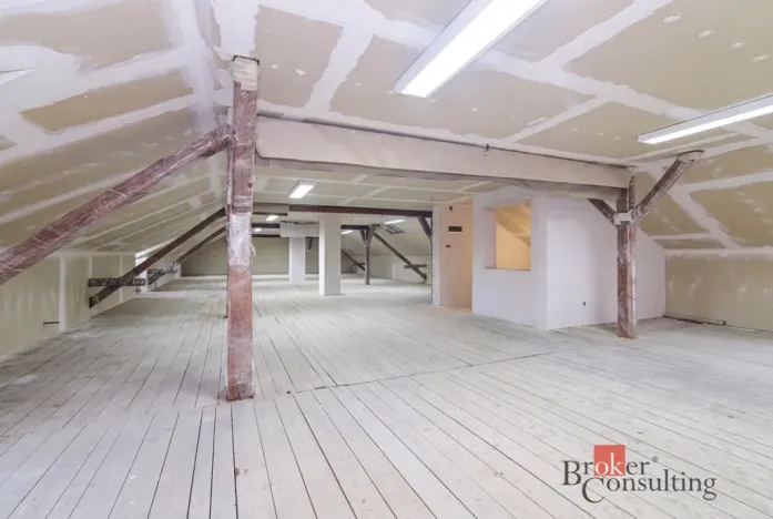 Prodej rodinného domu, Ostrava - Kunčičky, Rajnochova, 400 m2
