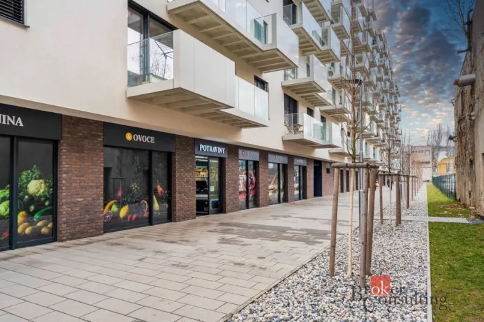 Prodej bytu 1+kk, Praha - Vysočany, Fafkových, 31 m2