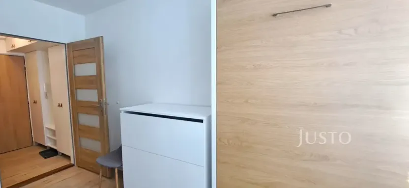 Pronájem bytu 1+1, Písek, 17. listopadu, 41 m2
