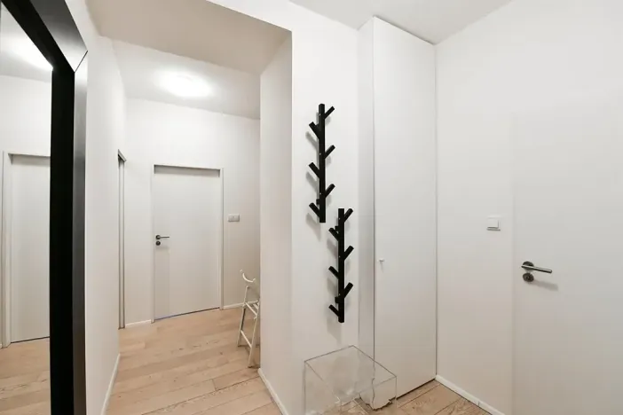 Pronájem bytu 2+kk, Praha - Vinohrady, Lucemburská, 50 m2