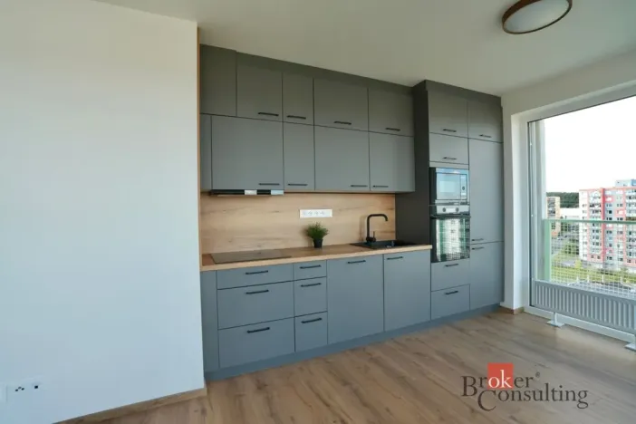 Pronájem bytu 2+kk, Plzeň - Bolevec, Krašovská, 53 m2