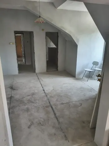 Prodej podílu vícegeneračního domu, Olšany, 831 m2