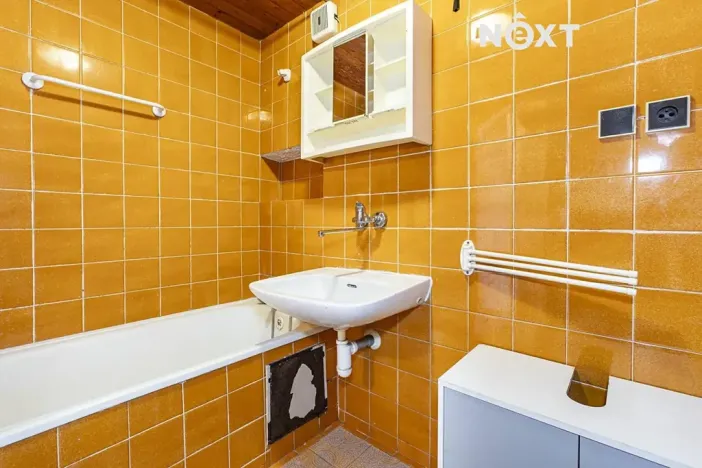 Prodej bytu 1+1, České Budějovice, Puklicova, 43 m2