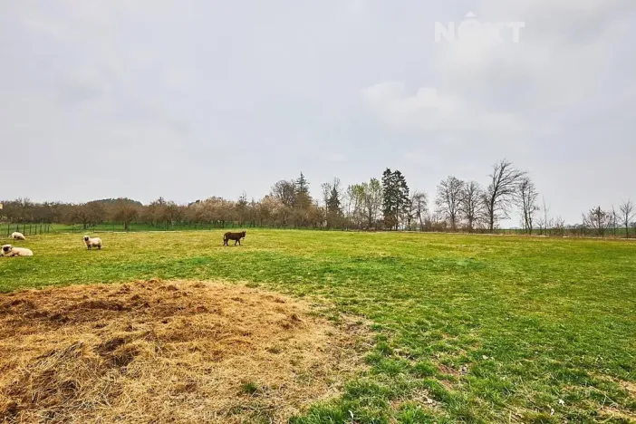 Prodej pozemku pro bydlení, Předslavice, 6532 m2