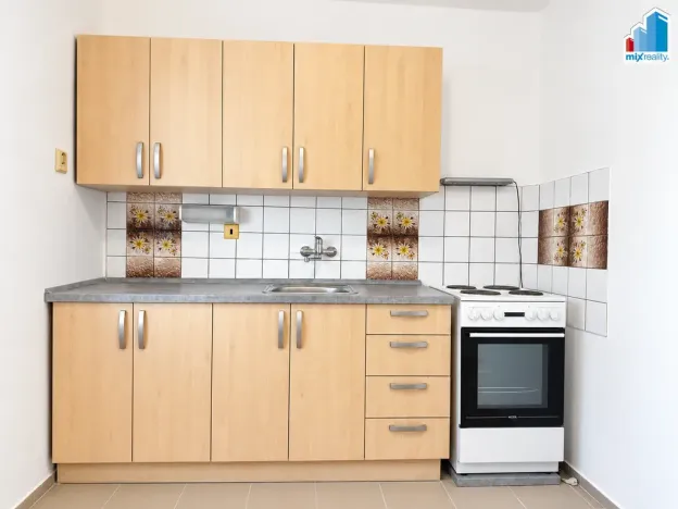 Prodej bytu 1+1, Plzeň, Partyzánská, 29 m2