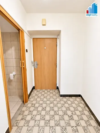 Prodej bytu 1+1, Plzeň, Partyzánská, 29 m2