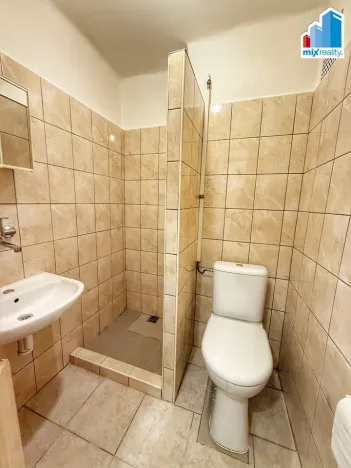 Prodej bytu 1+1, Plzeň, Partyzánská, 29 m2
