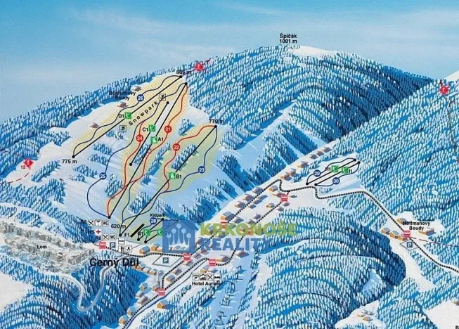 Prodej rodinného domu, Černý Důl, 230 m2