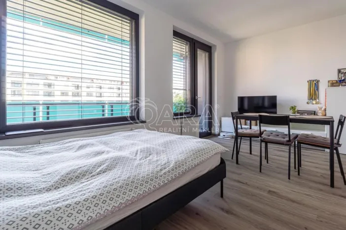 Pronájem bytu 1+kk, Praha - Žižkov, Olgy Havlové, 33 m2
