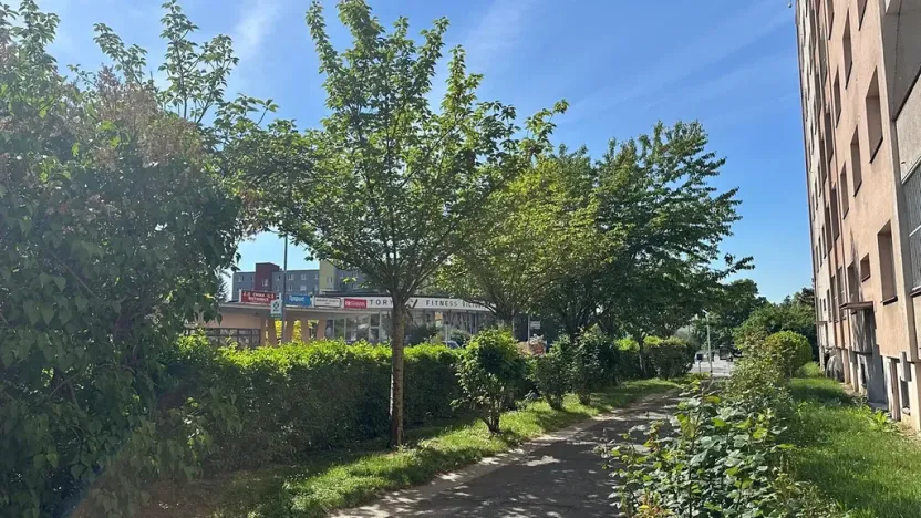 Prodej bytu 3+1, Praha - Záběhlice, Topolová, 72 m2