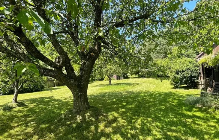 Prodej rodinného domu, Benešov nad Černou, 120 m2