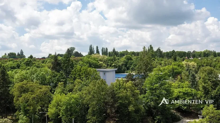 Prodej bytu 4+kk, Brno, Čápkova, 141 m2