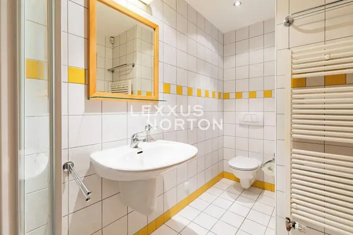 Pronájem atypického bytu, Praha - Vinohrady, Mánesova, 90 m2