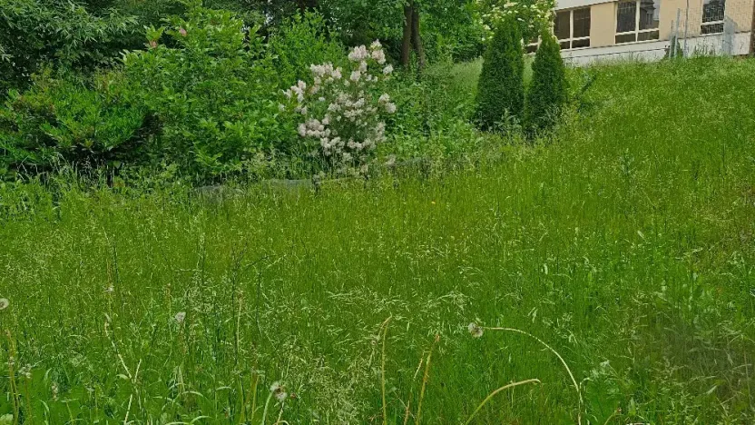 Pronájem obchodního prostoru, Bruntál, Nerudova, 60 m2