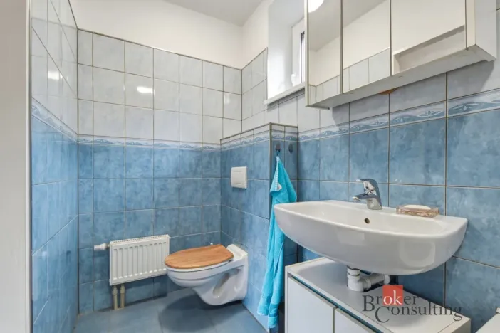 Prodej rodinného domu, Počedělice - Volenice, 180 m2