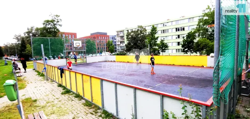 Pronájem bytu 2+kk, Praha - Karlín, Nekvasilova, 47 m2